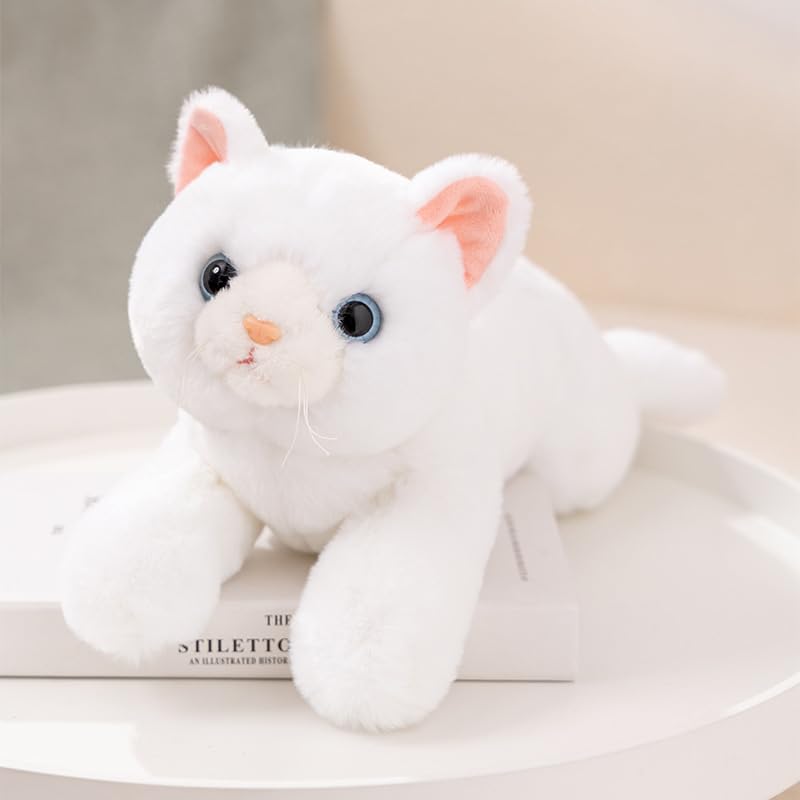 Amazon.co.jp: 食べやすい猫のぬいぐるみ - 柔らかくて抱きしめたく